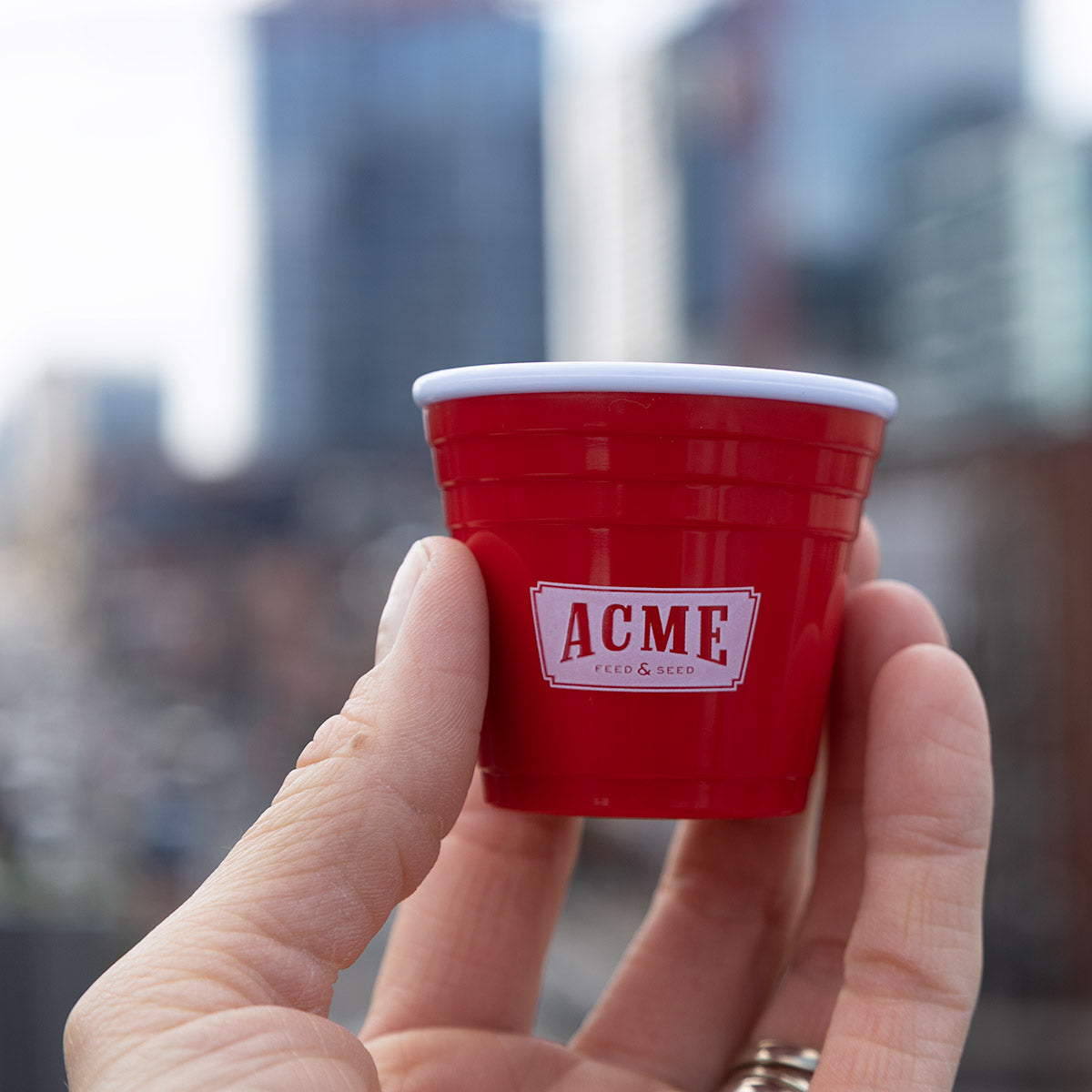 Red Cup Shot Glass – Acme Farm Store